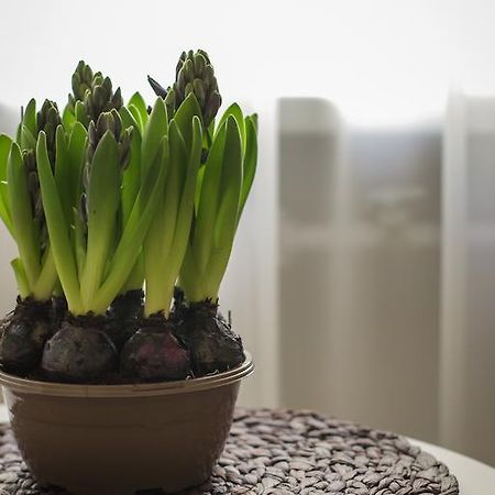 Ferienwohnung Saulys Druskininkai Zimmer foto