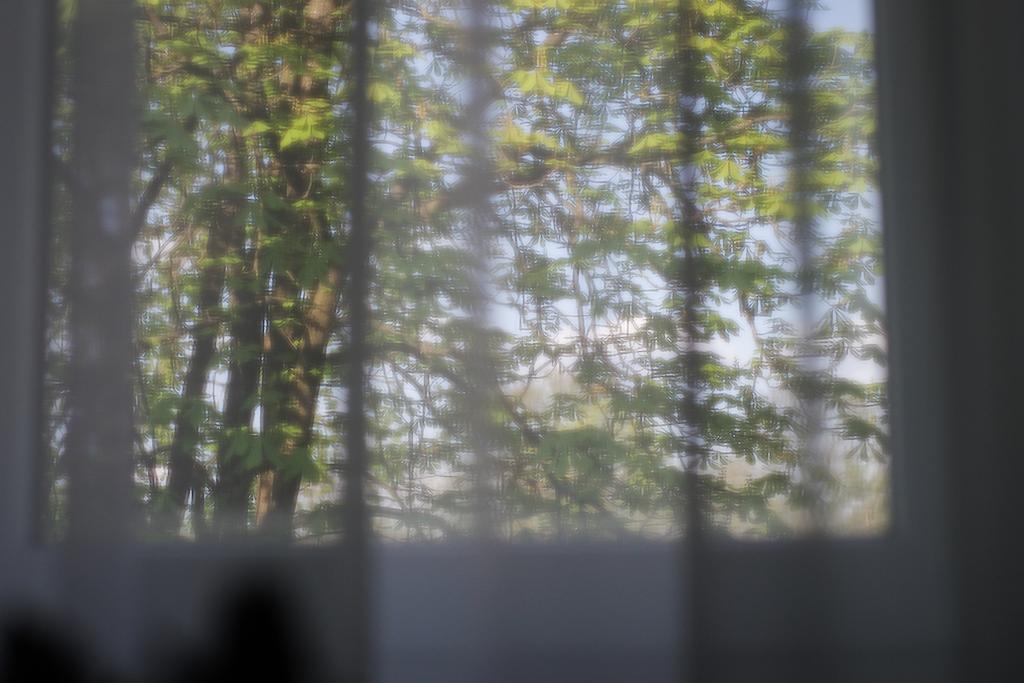 Ferienwohnung Saulys Druskininkai Zimmer foto